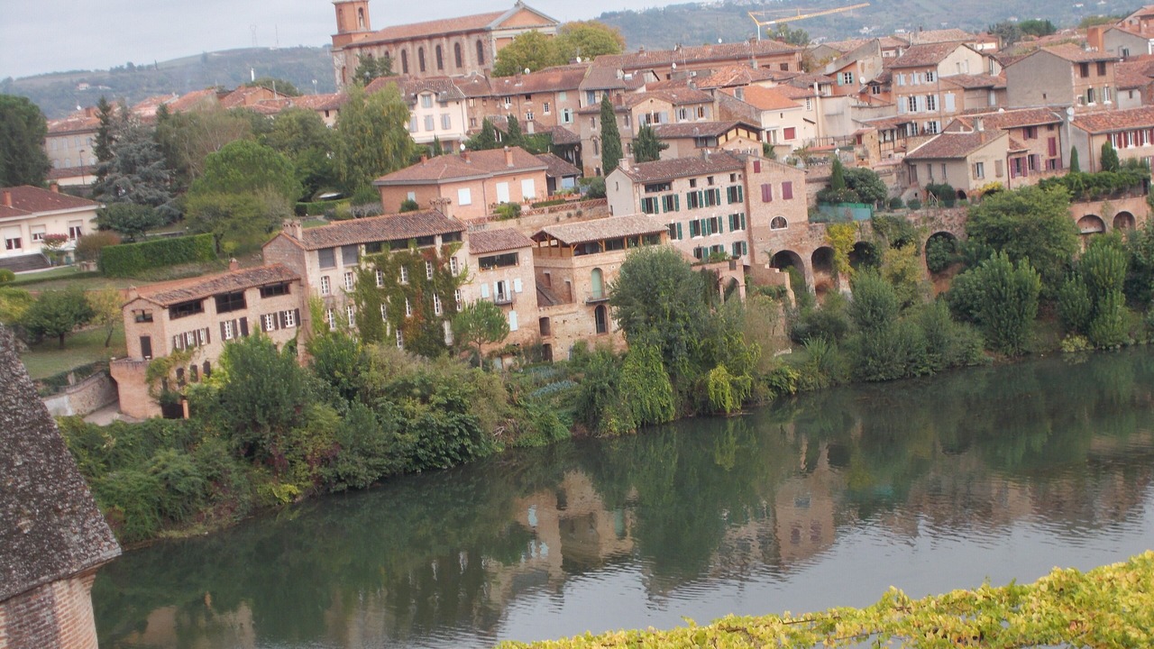 Photo of Others in Albi