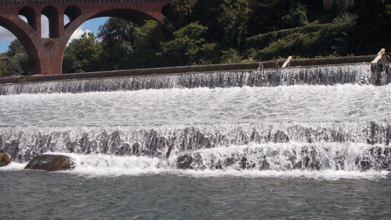 Photo of Others in Albi