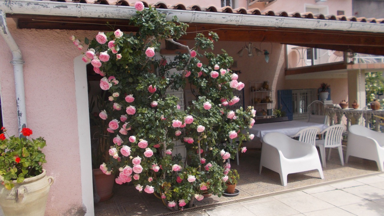 Photo of Patio Balcony in Albi