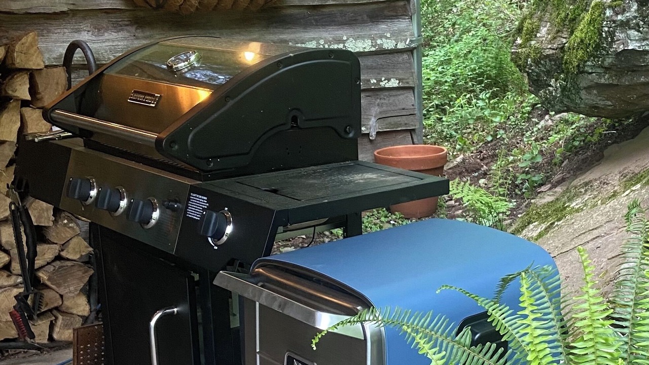 Photo of Outdoor in Downsville