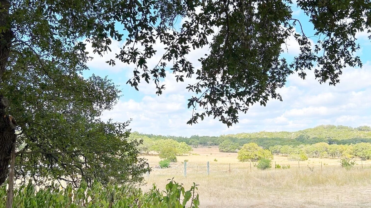 Photo of Others in Spring Branch