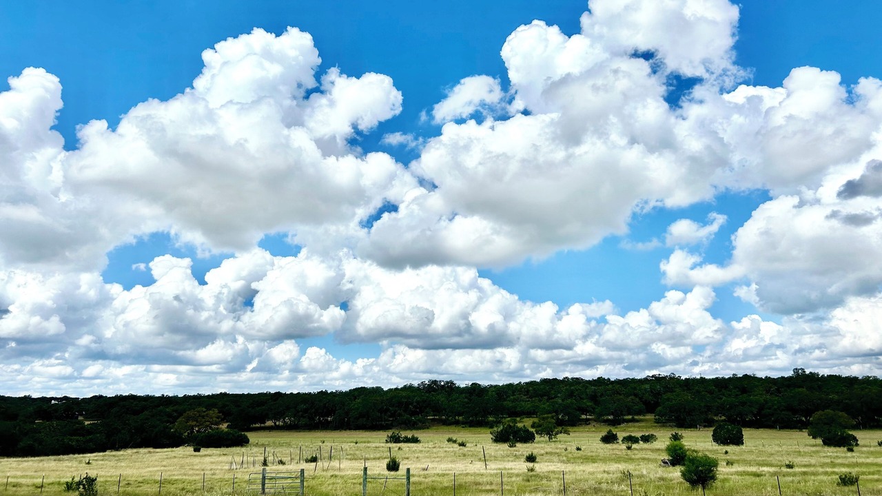 Photo of Others in Spring Branch