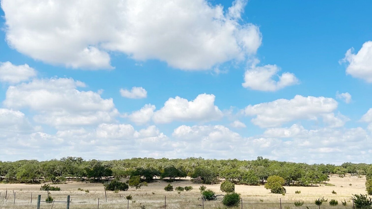 Photo of Others in Spring Branch