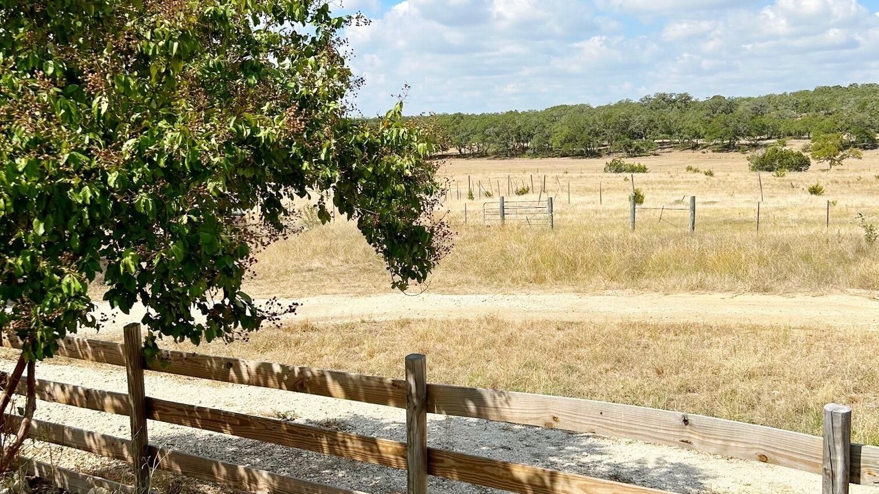 Photo of Others in Spring Branch