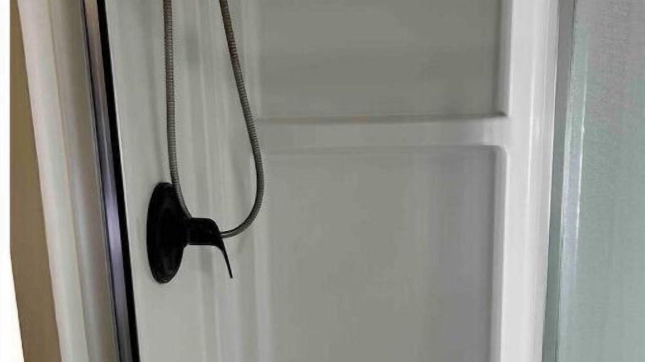 Photo of Others in Swarthmorewood