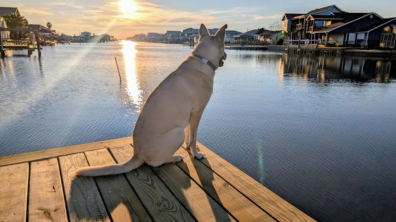 Photo of Others in Rockport