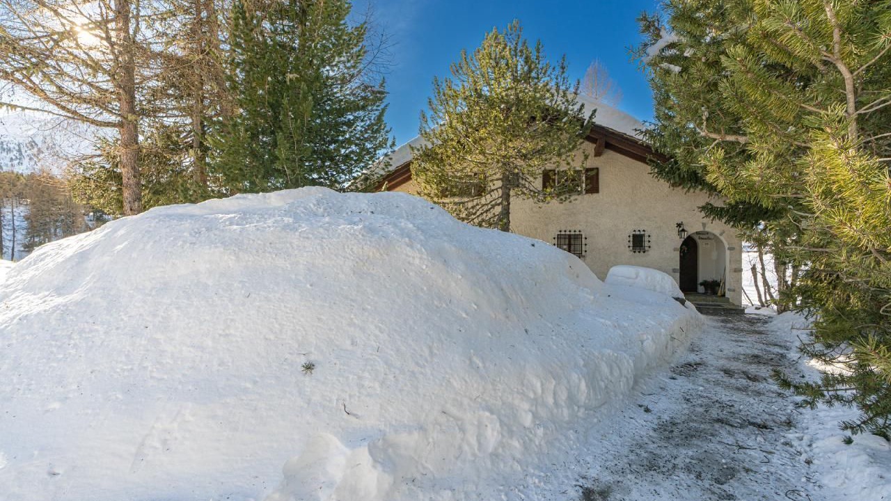 Photo of Others in Maloja
