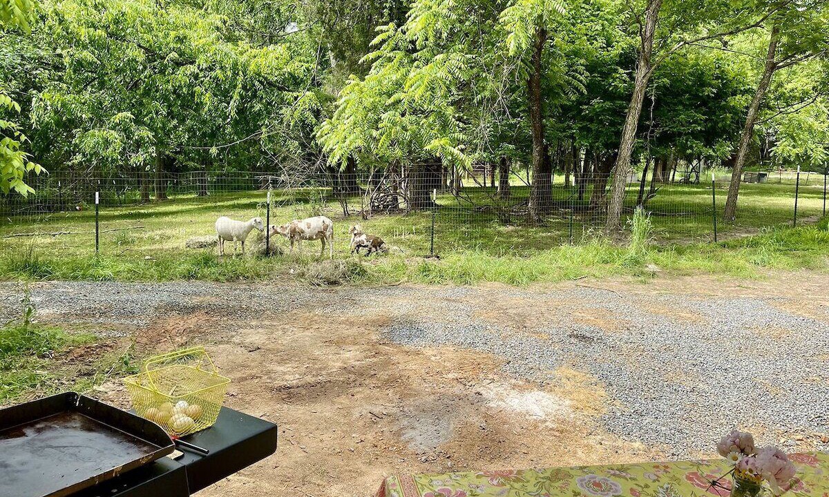 Photo of Outdoor in Trevilians