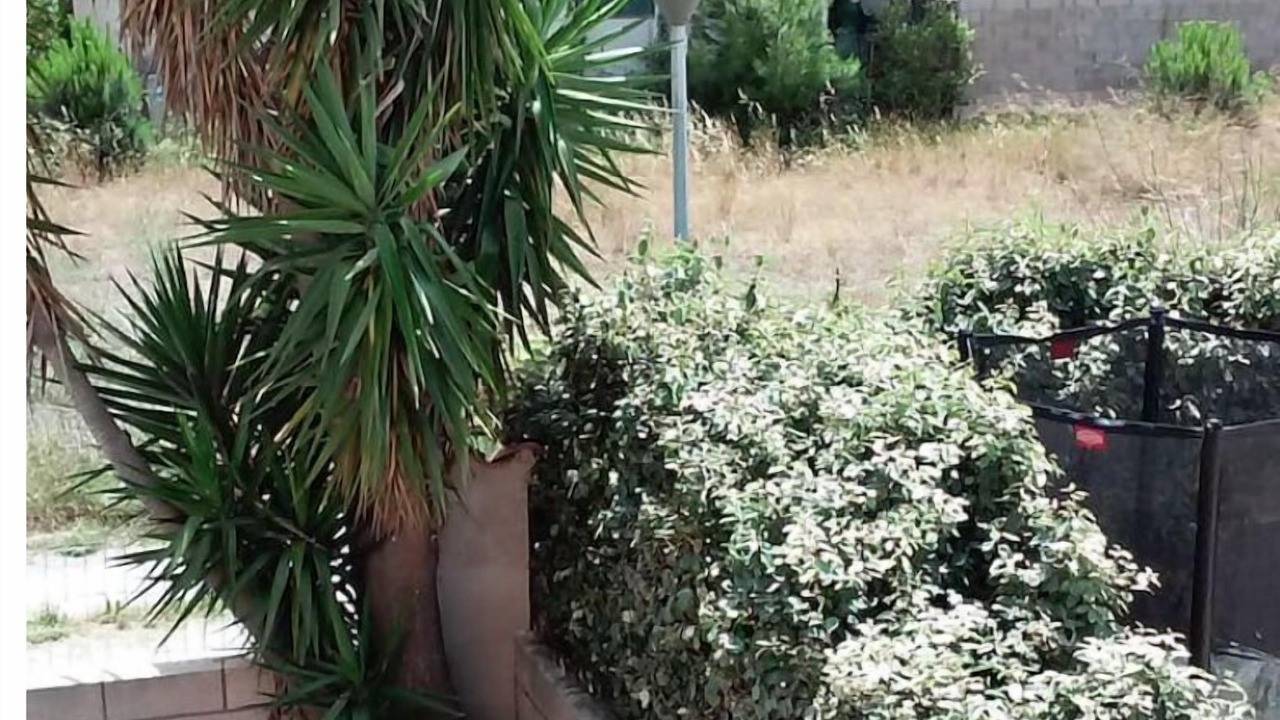 Photo of Outdoor in Sainte-Marie-Plage