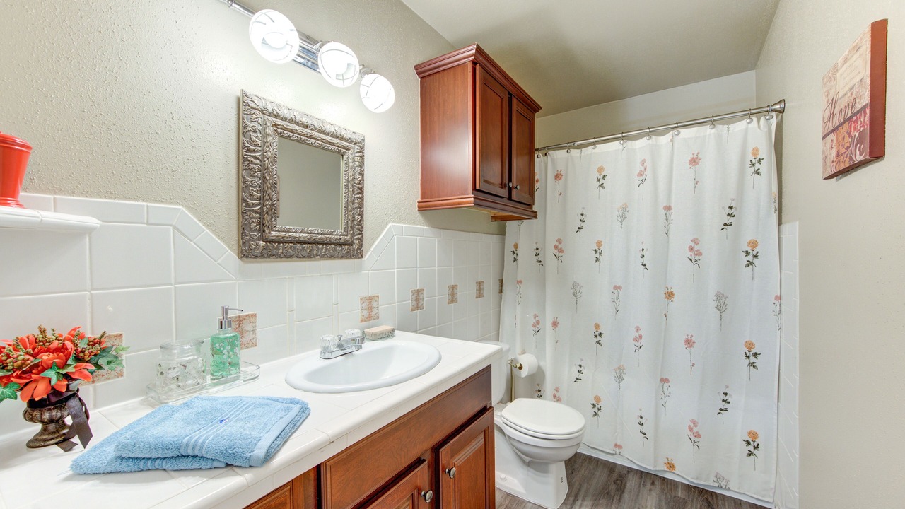 Photo of Bathroom in Roman Forest