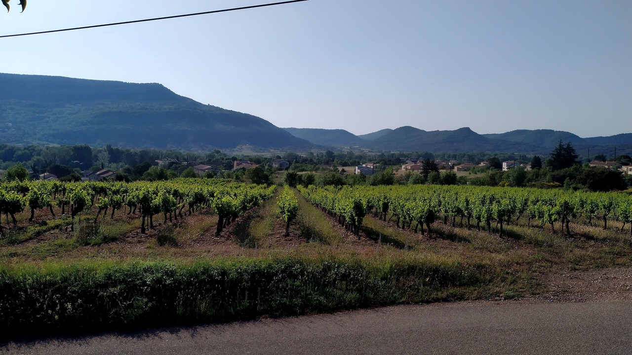 Photo of Outdoor in La Tour-Sur-Orb