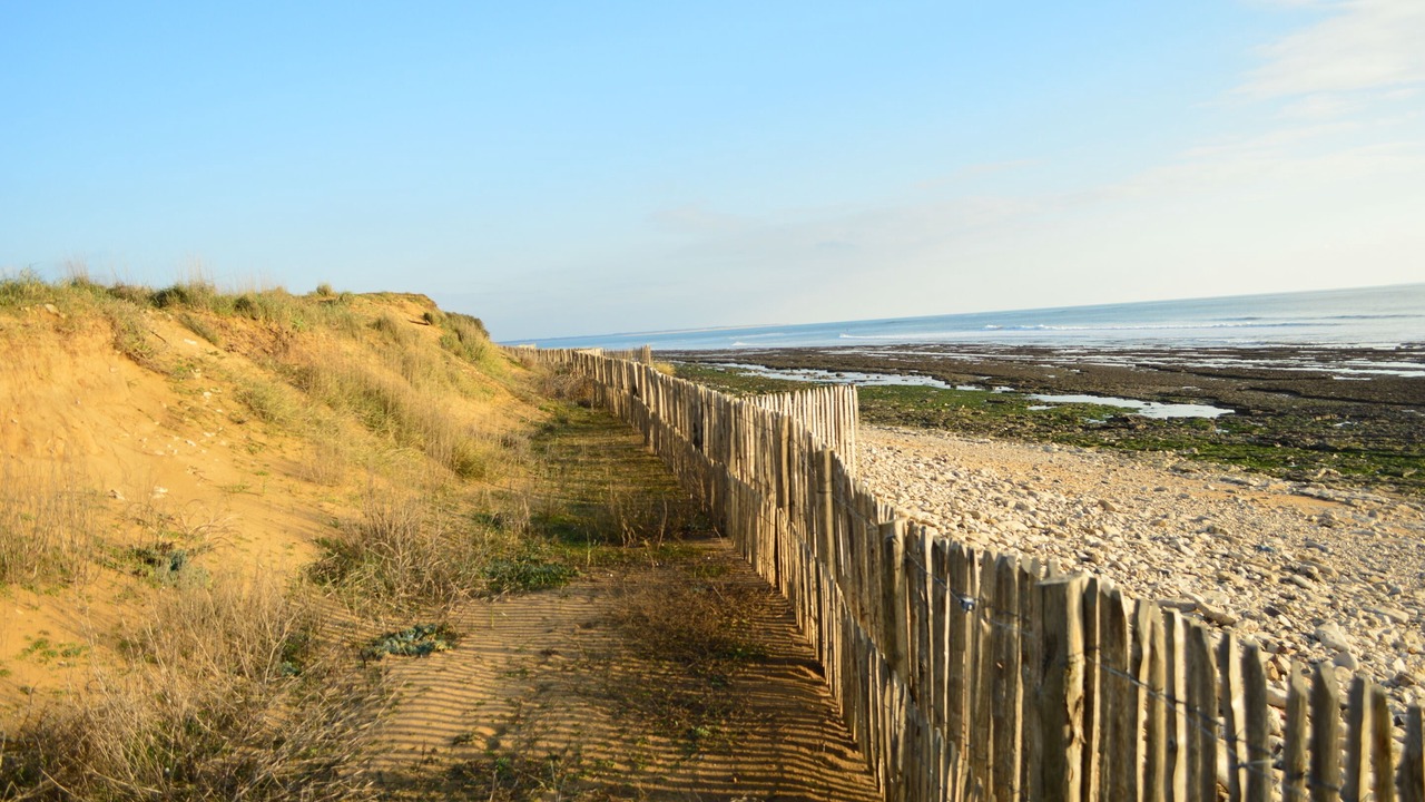 Photo of Others in Jard-sur-Mer