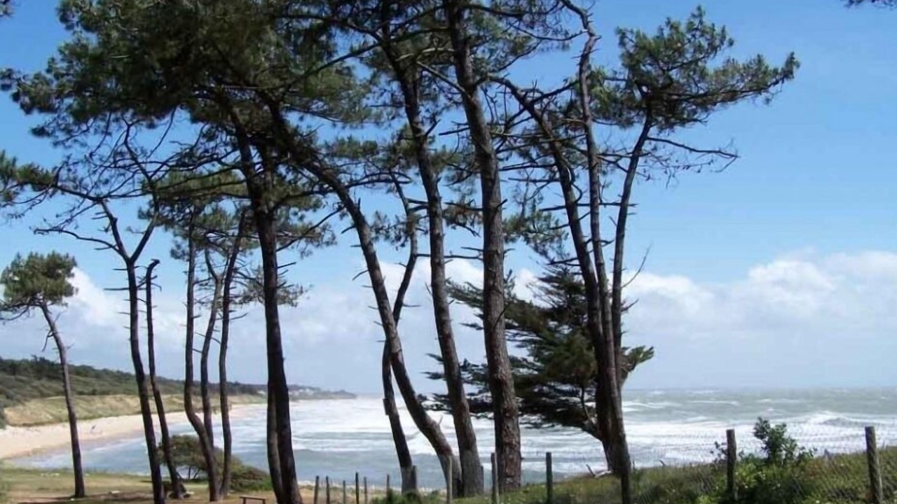 Photo of Others in Jard-sur-Mer