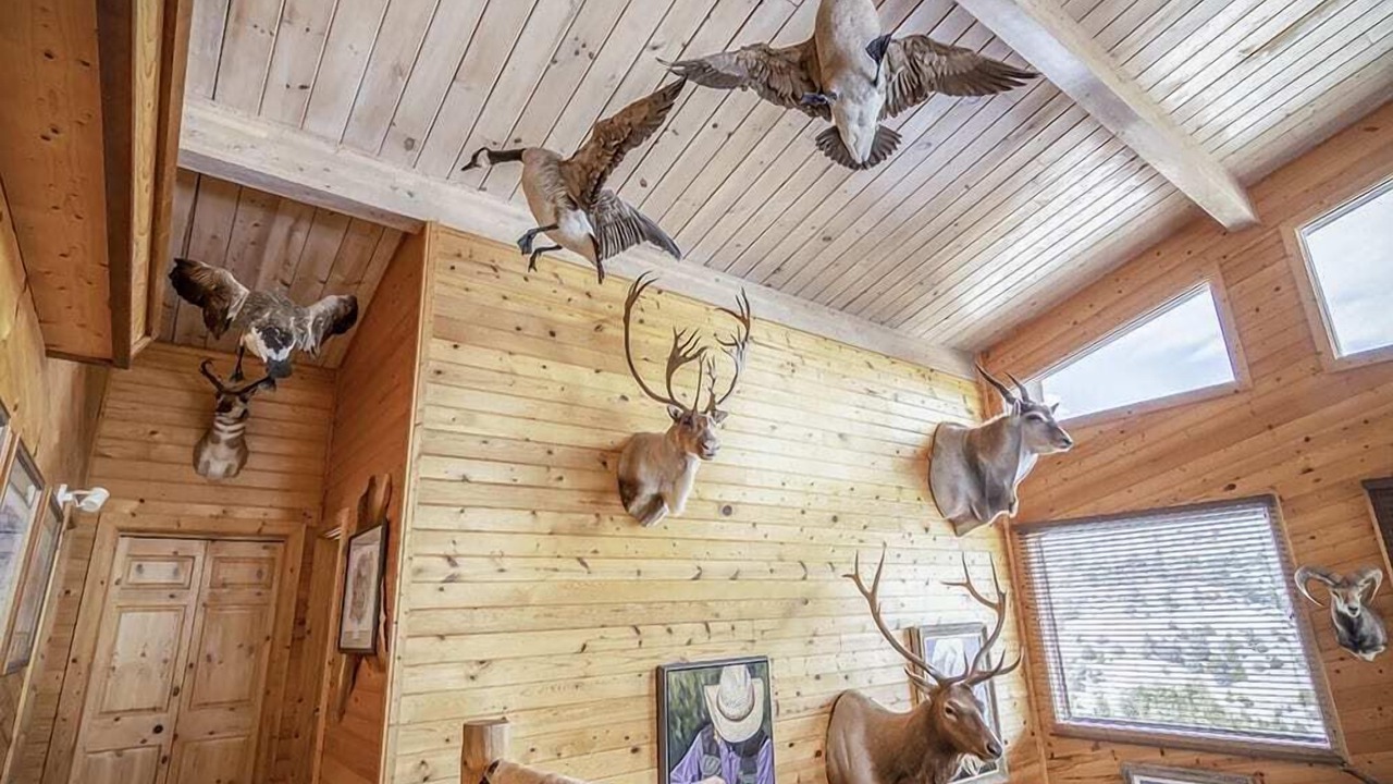 Photo of Patio Balcony in Emigrant