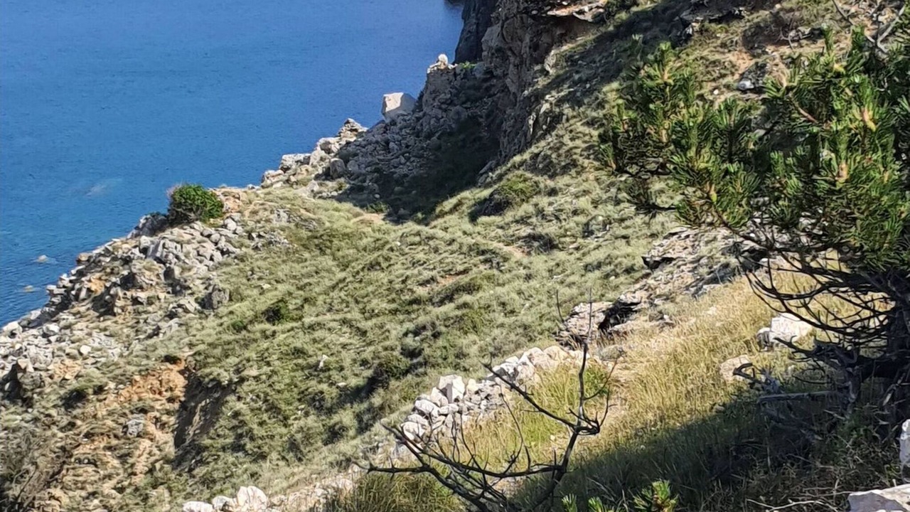 Photo of Others in Draga Bascanska