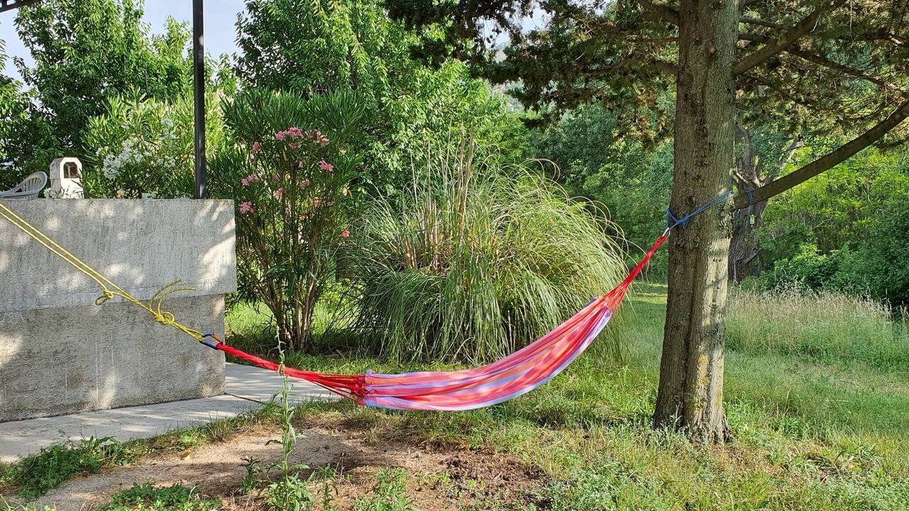Photo of Outdoor in Draga Bascanska