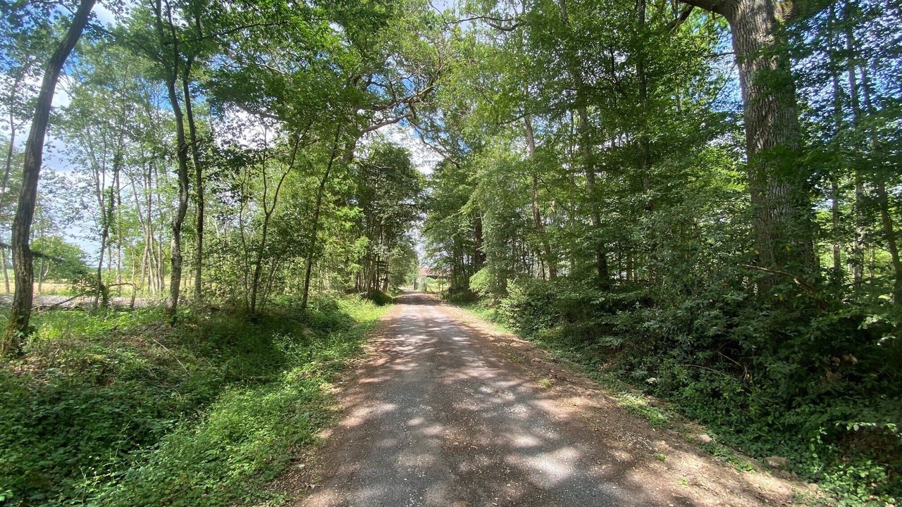 Photo of Outdoor in Aillant-sur-Milleron