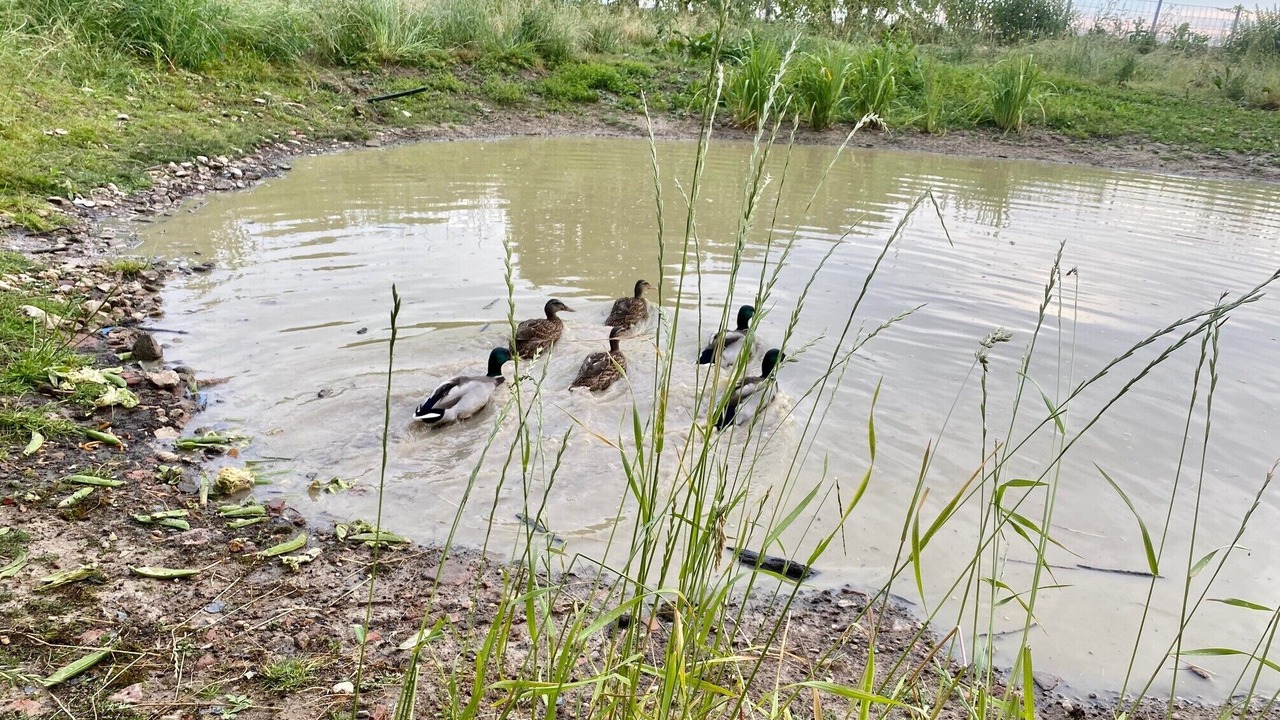 Photo of Outdoor in Aillant-sur-Milleron