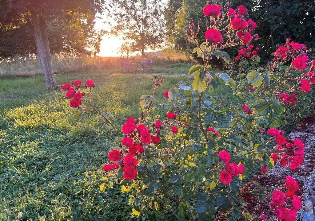 Photo of Outdoor in Aillant-sur-Milleron