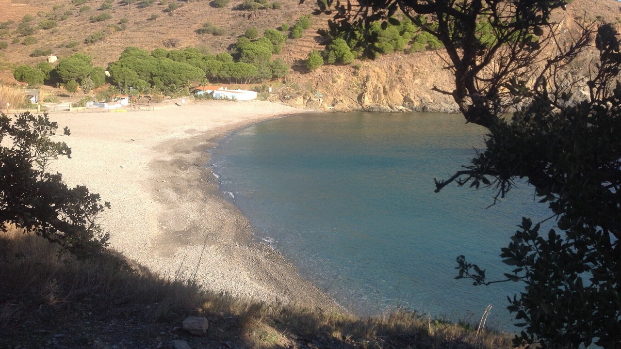 Photo of Others in Cerbere