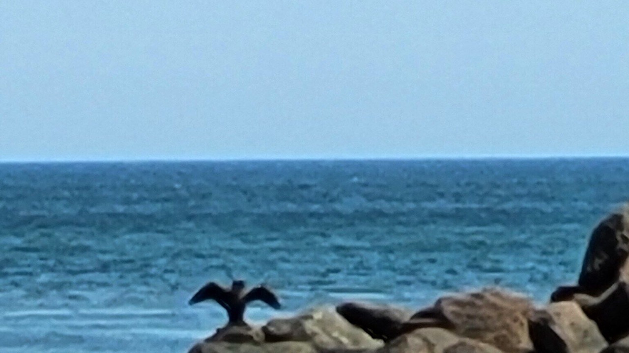 Photo of Others in North Lake