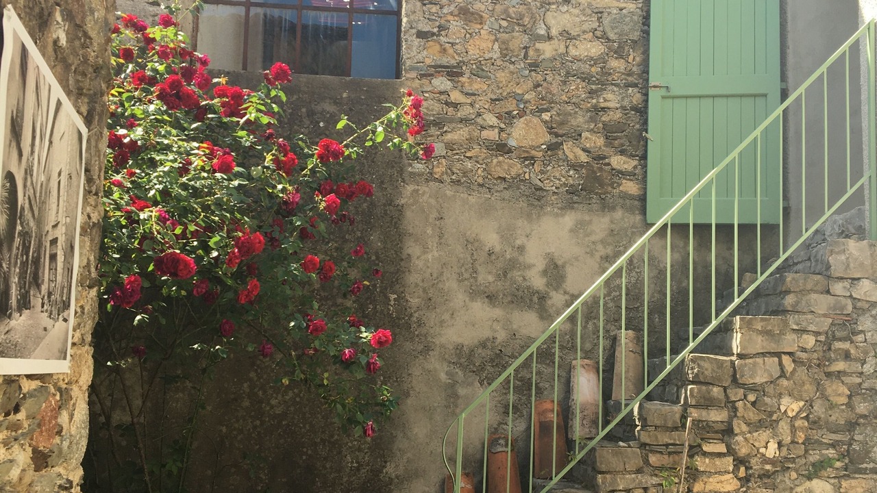 Photo of Outdoor in Breau-et-Salagosse