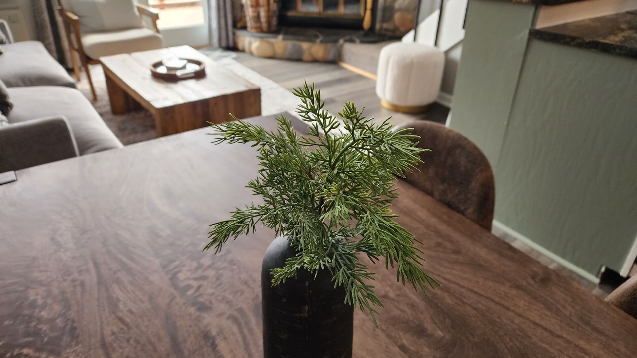 Photo of Others in Lutsen