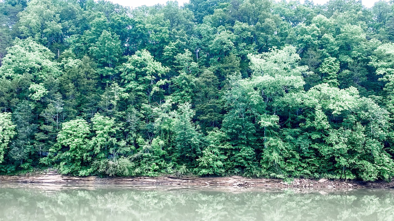 Photo of Outdoor in Rock Island