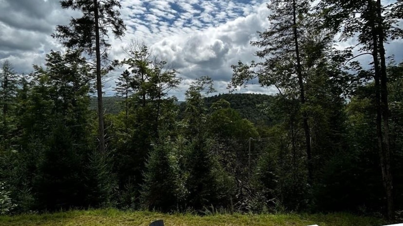 Photo of Outdoor in Pine Hill