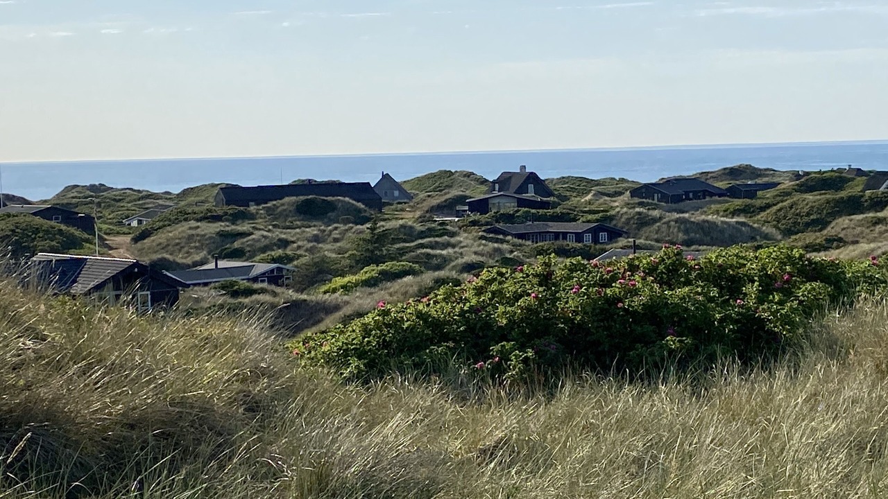 Photo of Others in Saltum