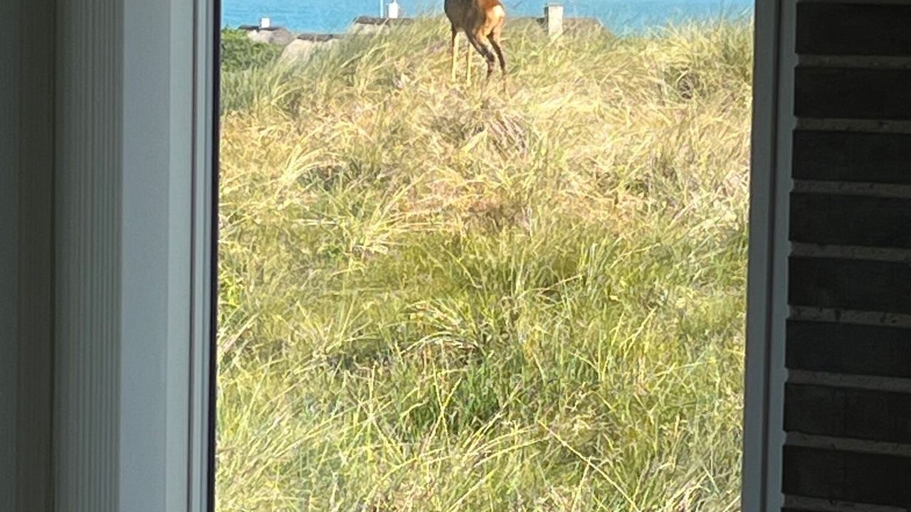 Photo of Others in Saltum