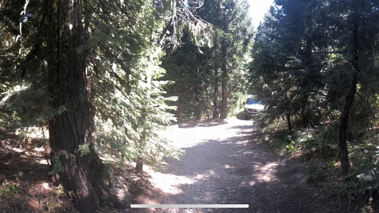 Photo of Others in Downieville
