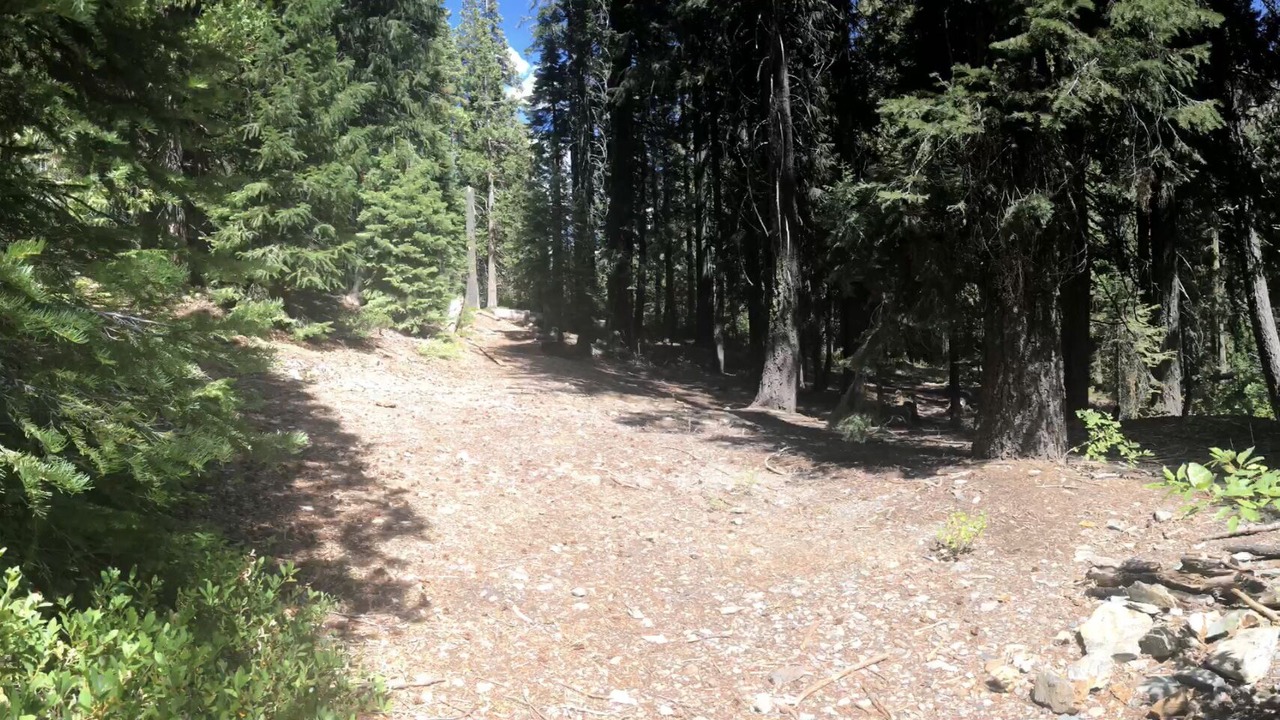 Photo of Outdoor in Downieville