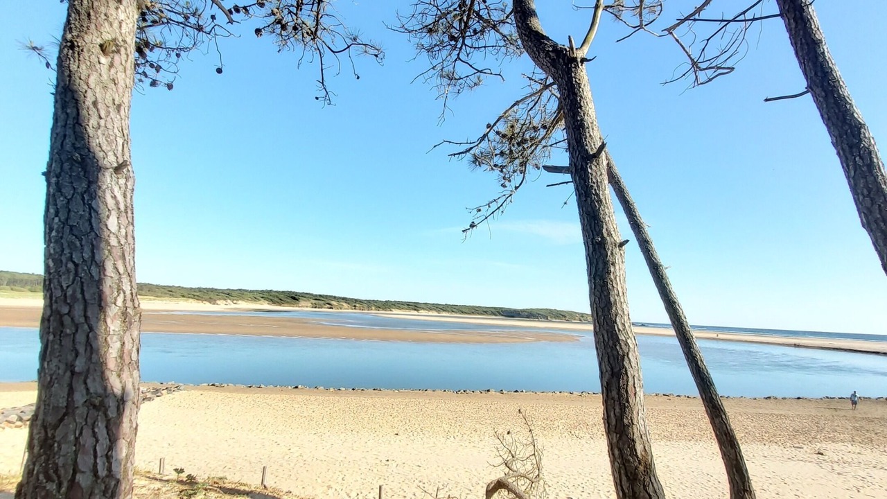 Photo of Others in Talmont-Saint-Hilaire