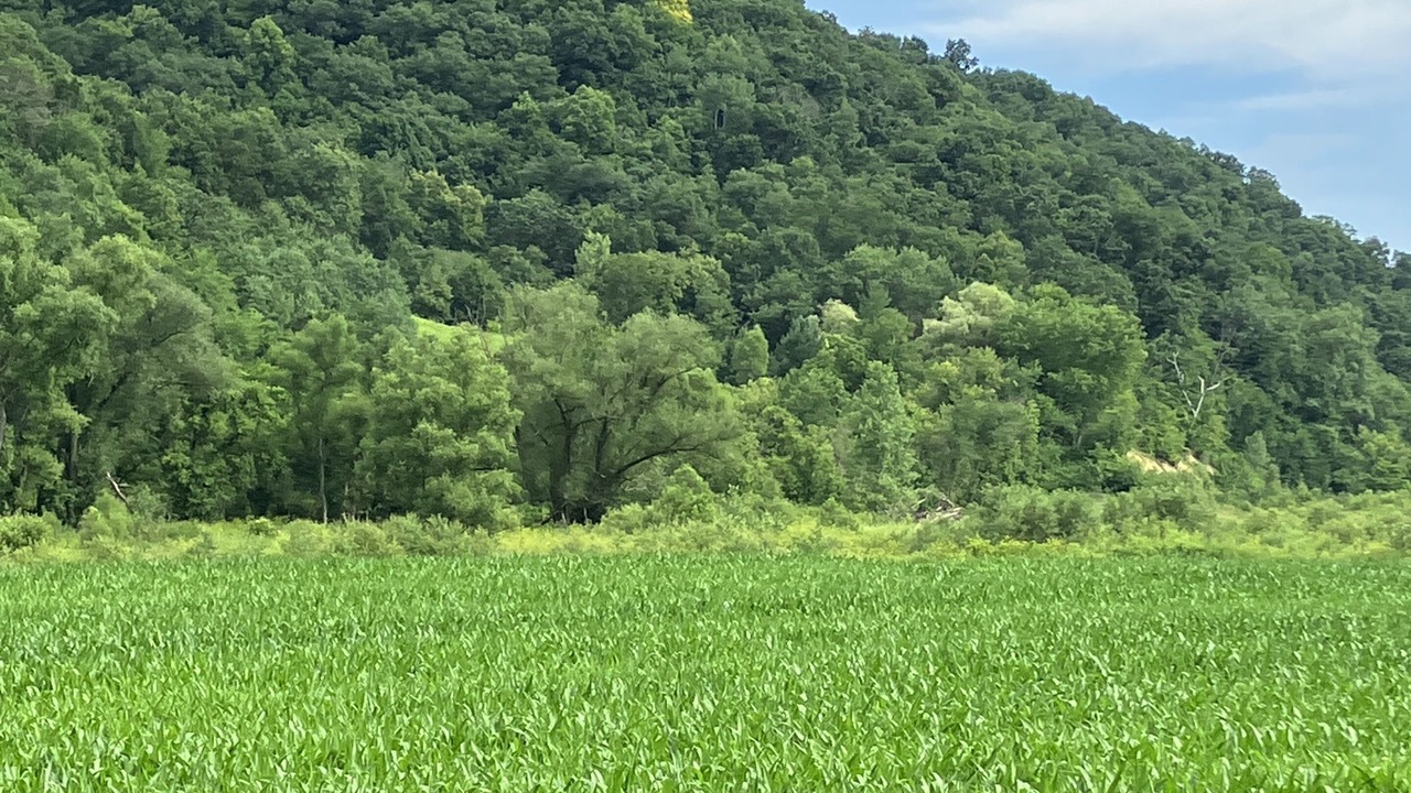 Photo of Outdoor in De Soto