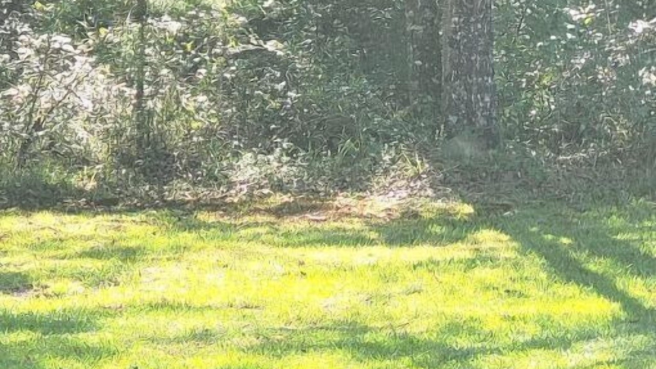 Photo of Outdoor in Sandy Hook