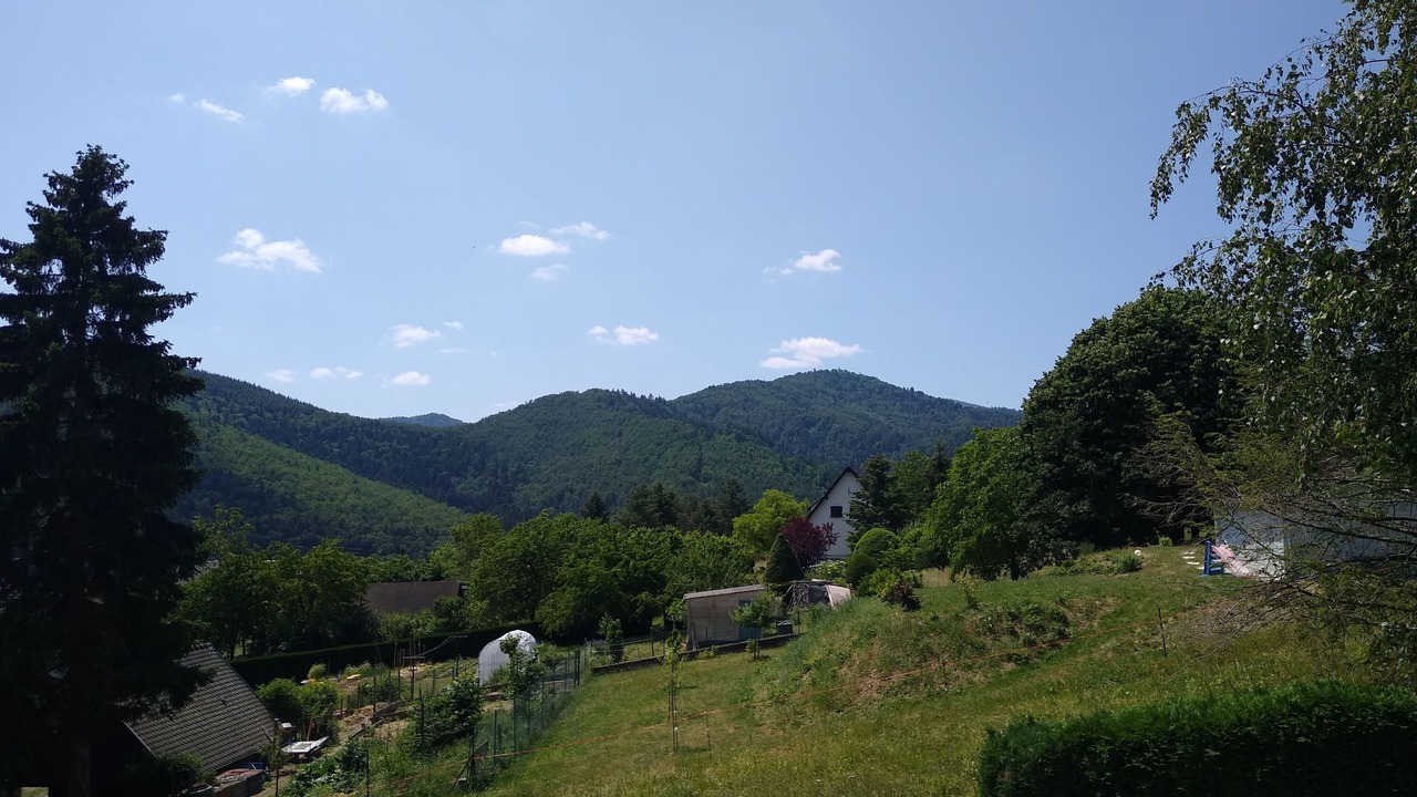 Photo of Outdoor in Lautenbach