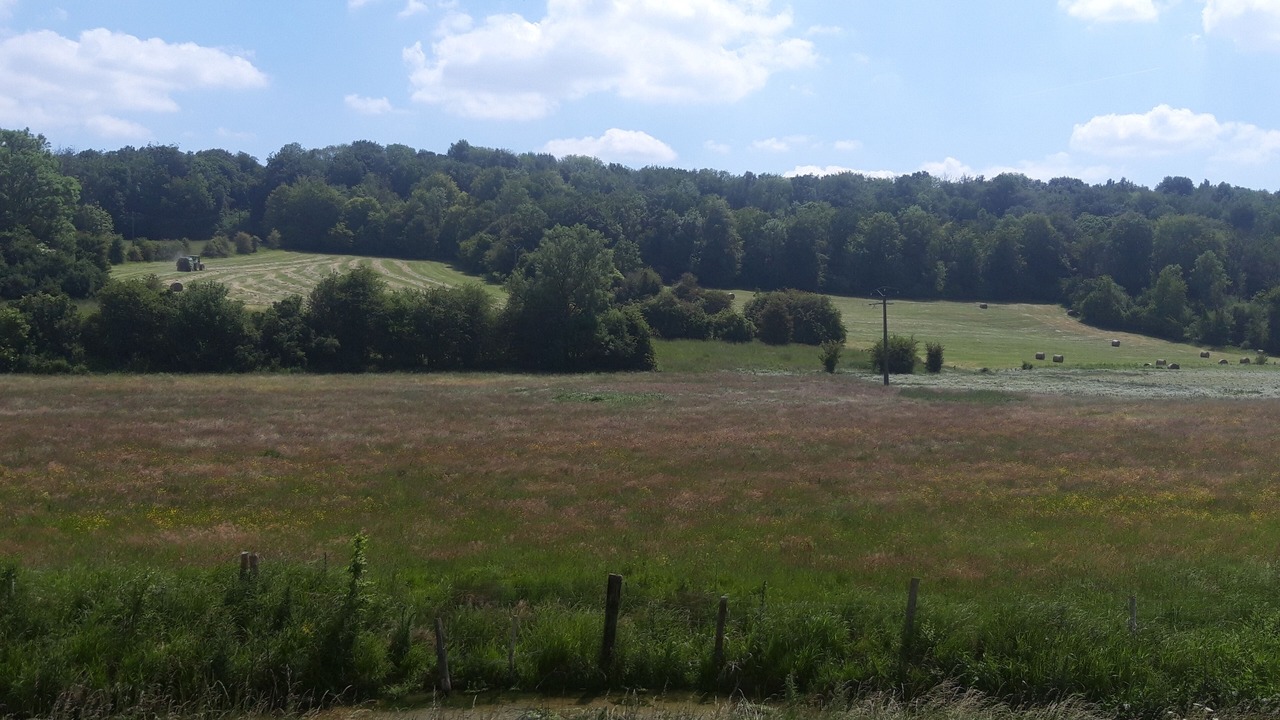 Photo of Outdoor in Saint-Germain-des-Essourts