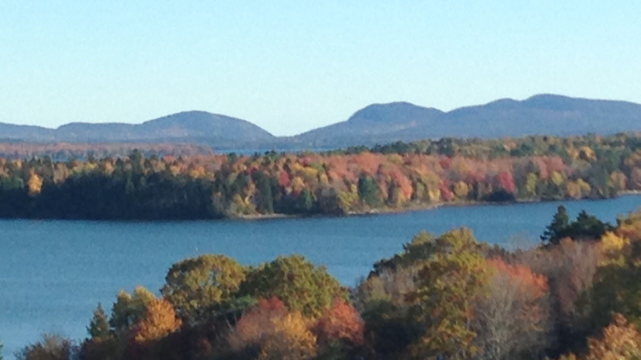 Photo of Others in Surry