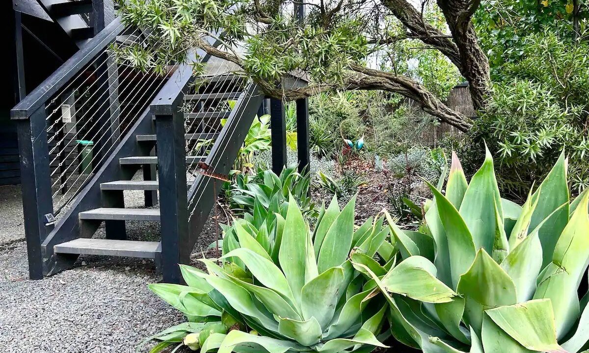 Photo of Outdoor in Rhyll