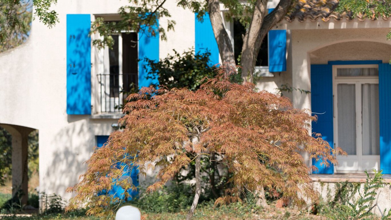 Photo of Outdoor in Palau-del-Vidre