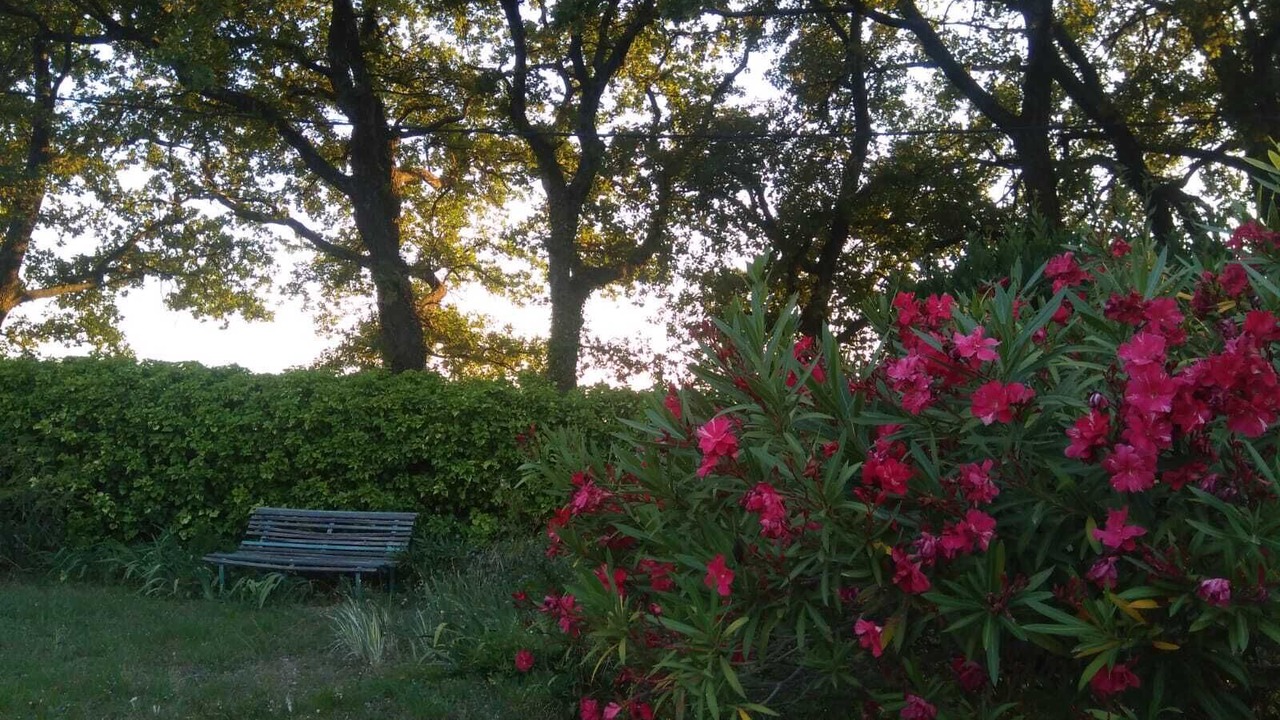 Photo of Outdoor in Seguret