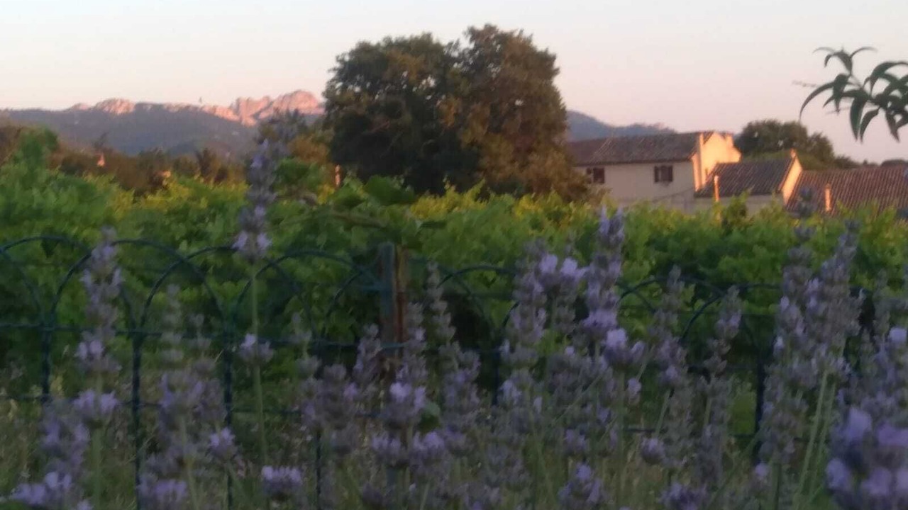 Photo of Others in Seguret