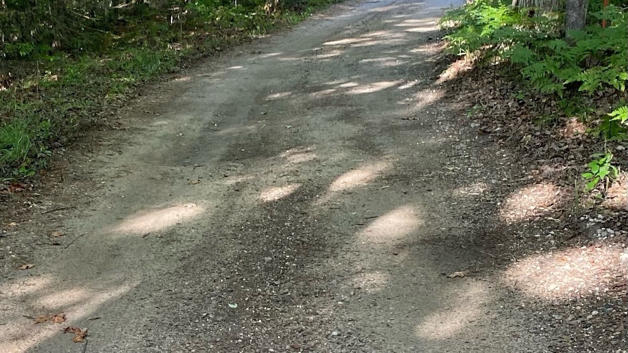 Photo of Outdoor in Interlochen