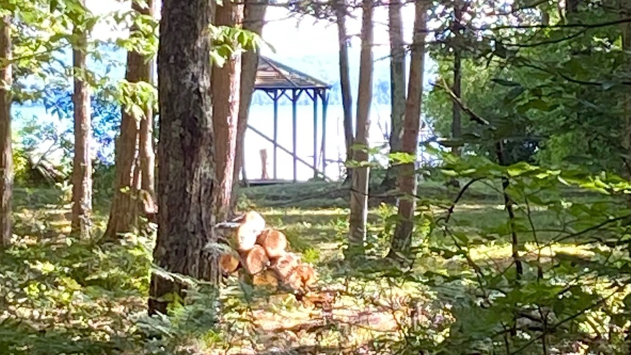 Photo of Outdoor in Interlochen
