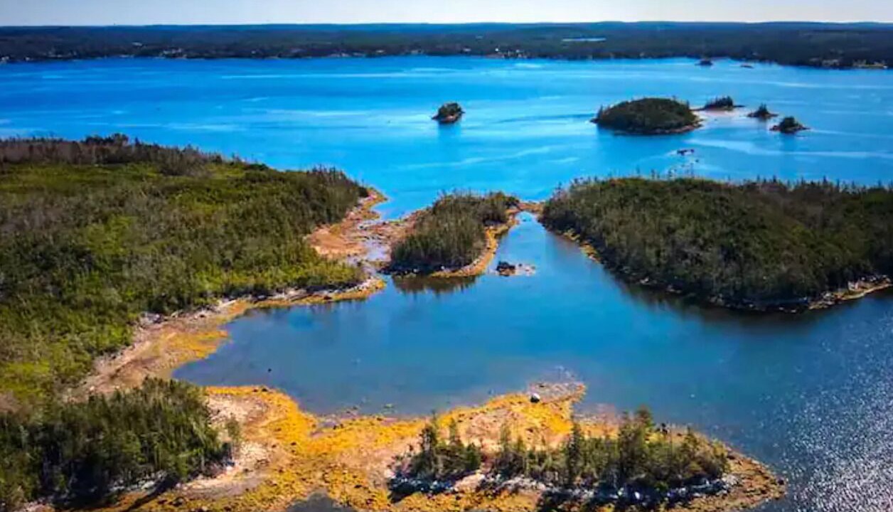 Photo of Others in Halifax County