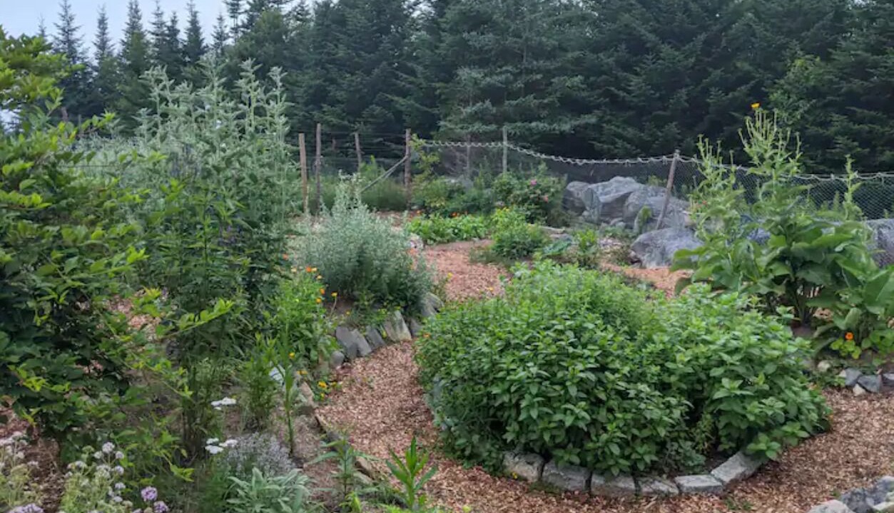 Photo of Outdoor in Halifax County