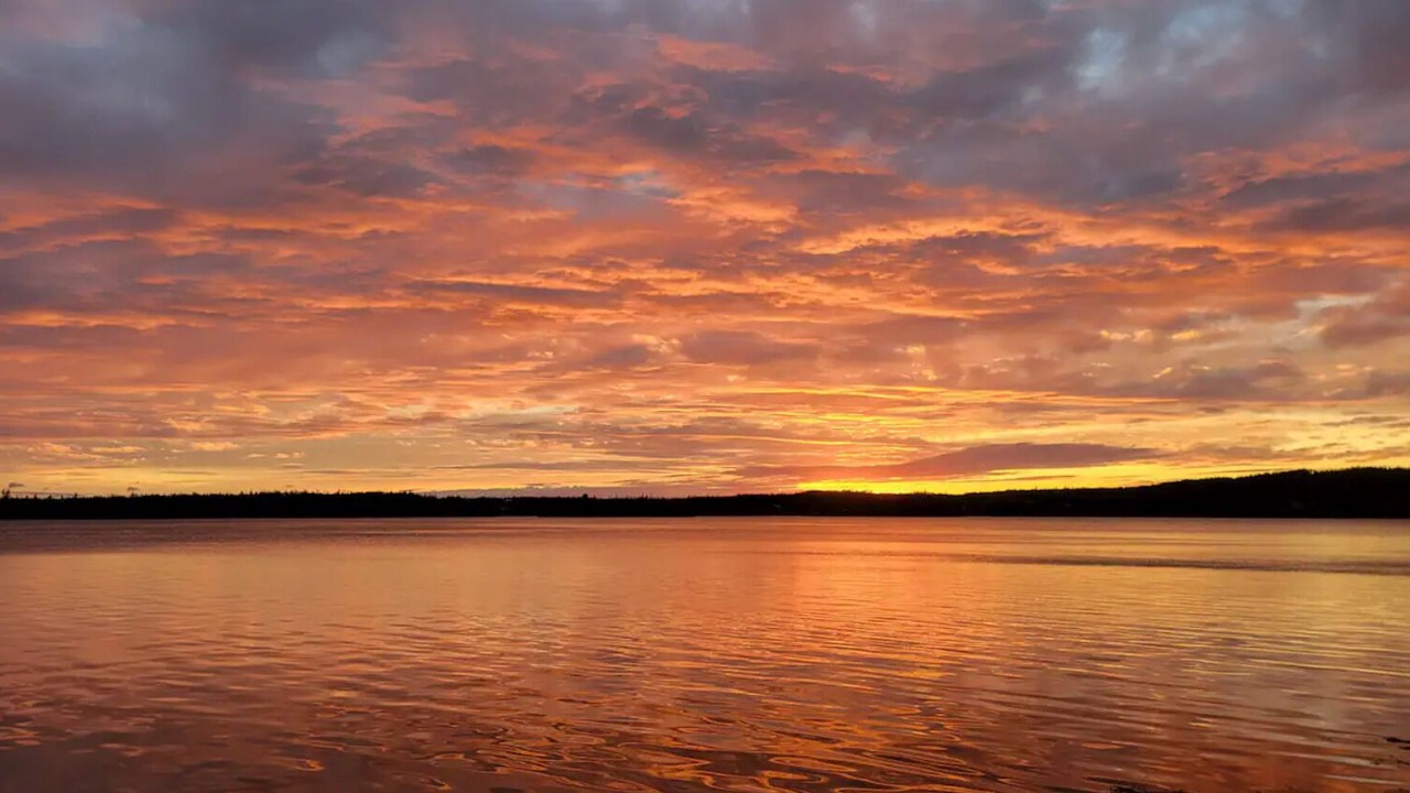 Photo of Others in Halifax County