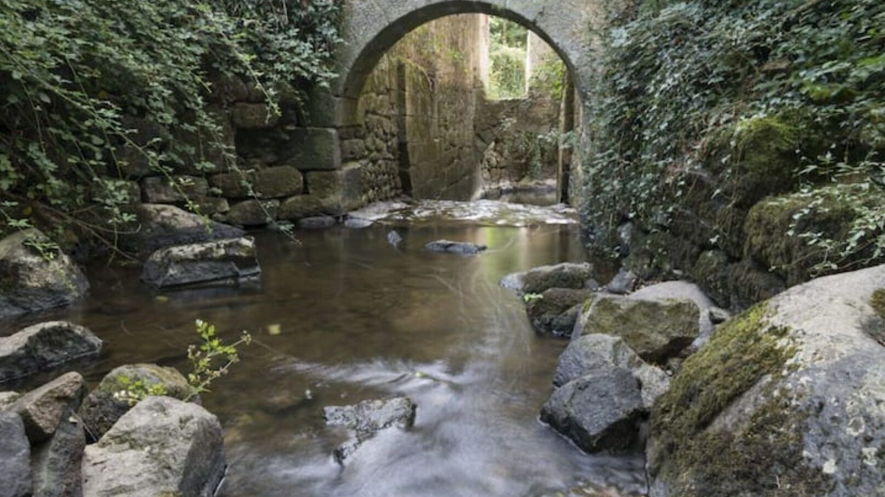 Photo of Others in La Roche-sur-Yon