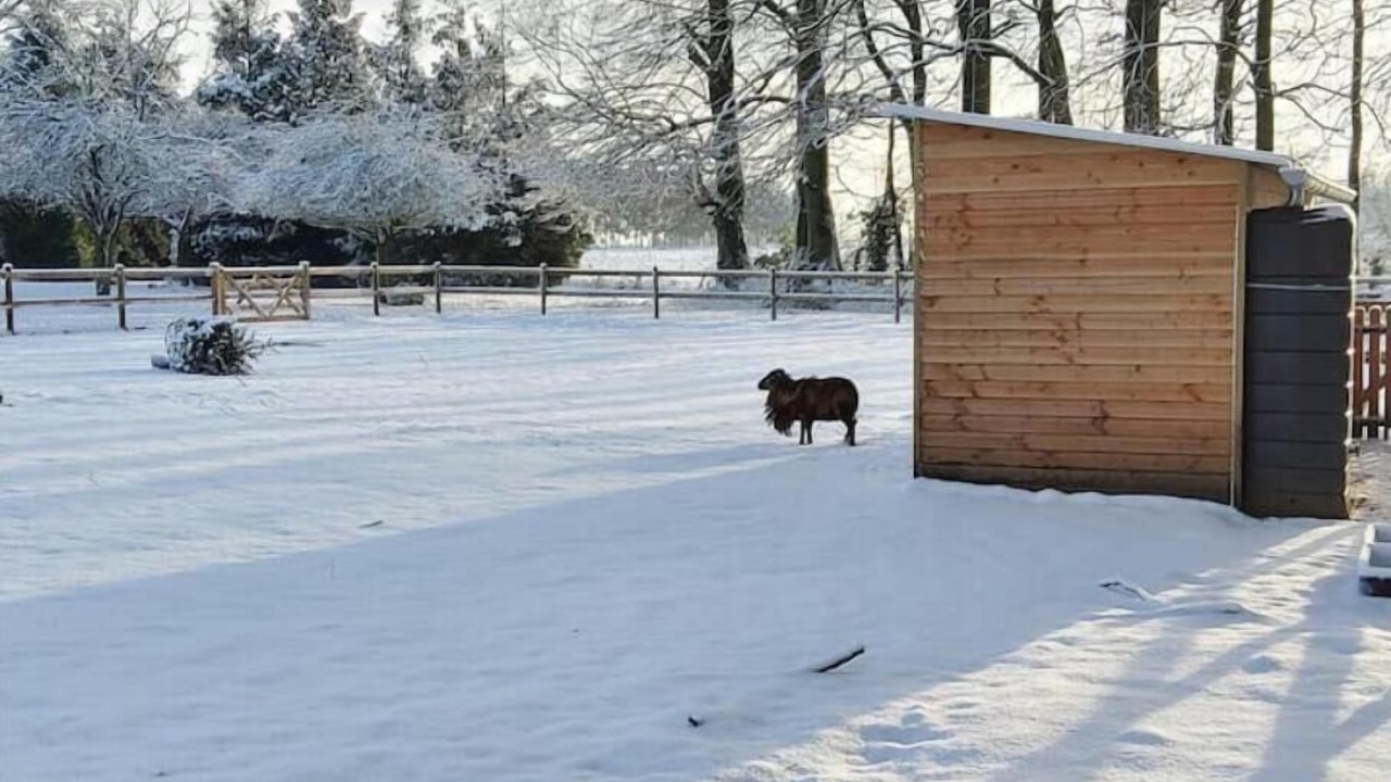 Photo of Outdoor in Cottevrard